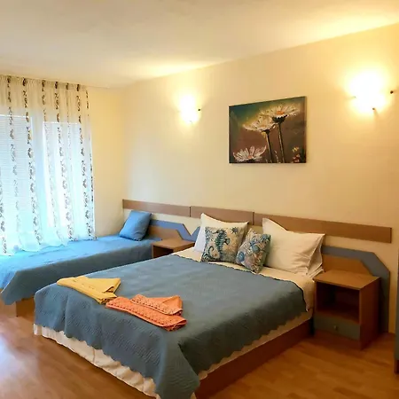 за гости русинови Guest house 3*