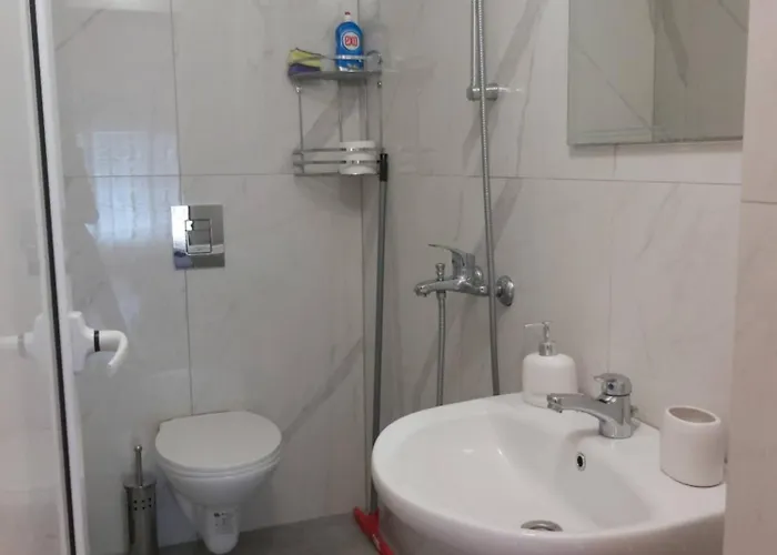 за гости русинови