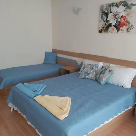 за гости русинови Carevo